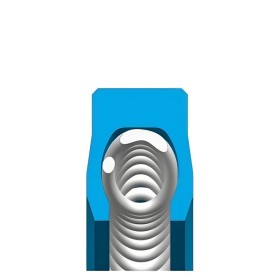 Spring Energized inside face seals