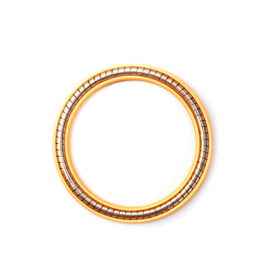 LNG Seals