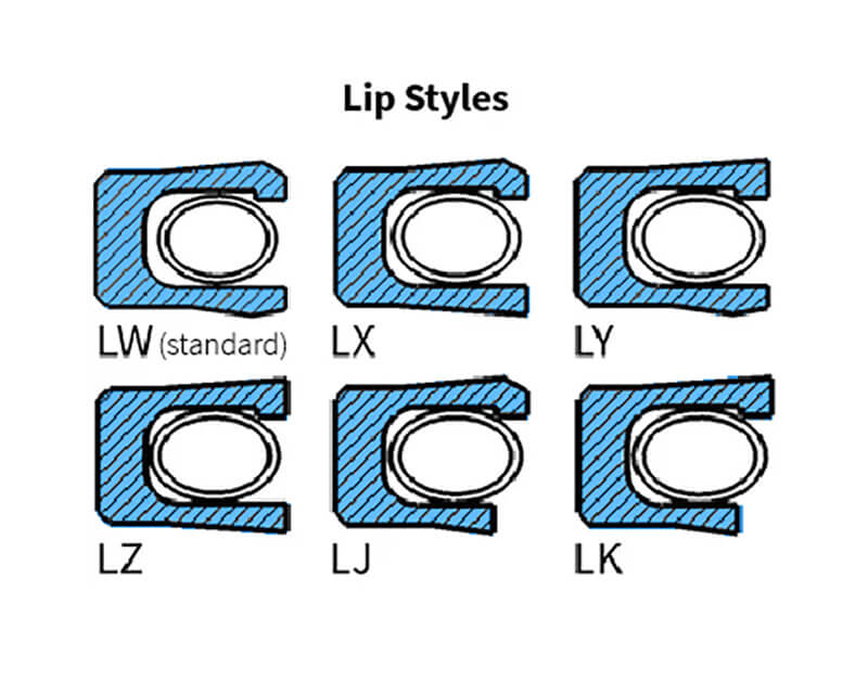 CANTED COIL SPRING ENERGIZED ROD SEAL