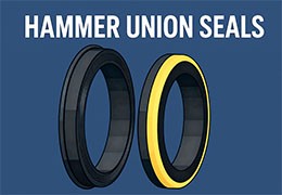 Hammer Union Seals: Durable Sealing Solutions for Oilfield Connections Hammer Union Seals: Durable Sealing Solutions for Oilfield Connections