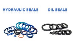 Hydraulic Seals vs Oil Seals: Differences, Types, and Applications