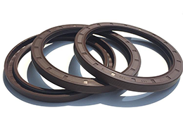 Skeleton Oil Seal function