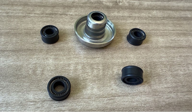 Spring Energized Seal